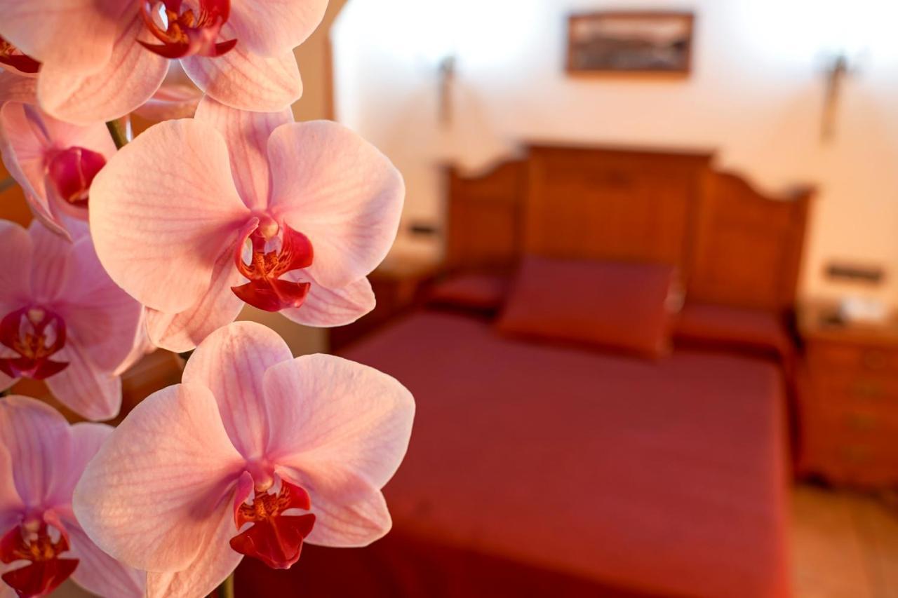 Hotel Alfonso VIII Santa Elena Extérieur photo